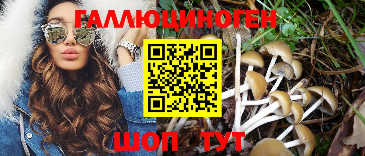 Псилоцибиновые грибы ЛСД Новосибирск
